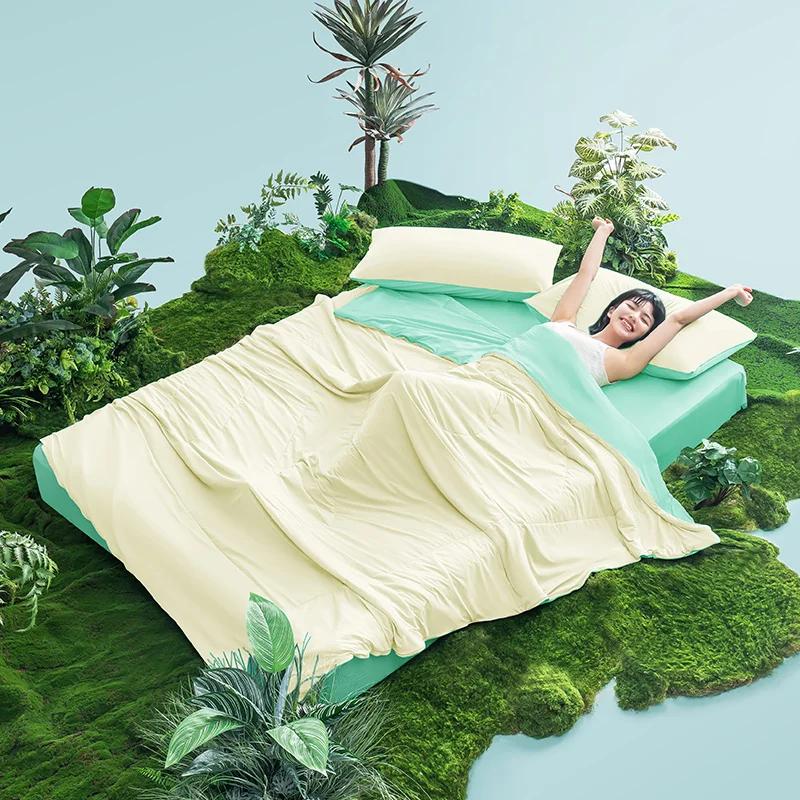 �ε巯�� �� ���, �ε巯�� ������ �̺�, ������ �ÿ��� ��� �̺�, ǫ���� ��Ʈ ħ�뺸, ����